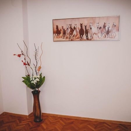 3 Rooms, Loft Apartment, Located Right In Center!!! Razgrad Ngoại thất bức ảnh